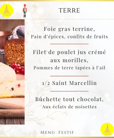 TERRE FESTIF